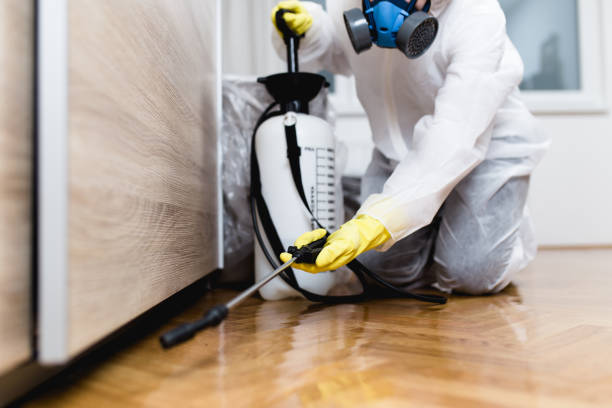 Best Termite Control Services  in Swanton, OH