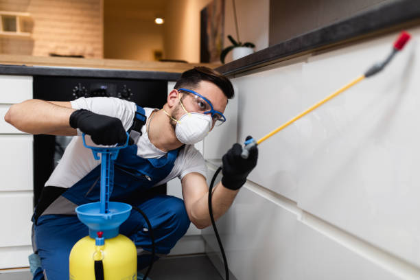 Best Exterminator Services  in Swanton, OH
