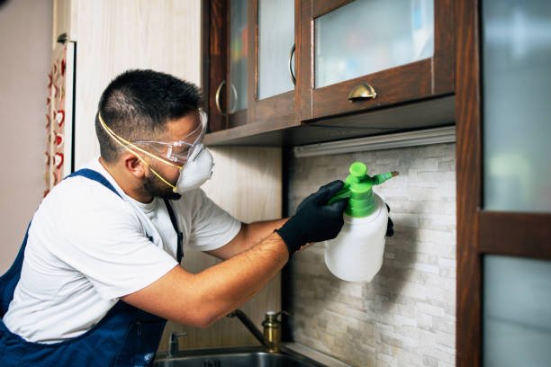 Best Bed Bug Extermination  in Swanton, OH