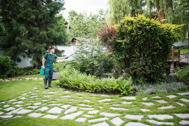 Best Pest Prevention Services  in Swanton, OH