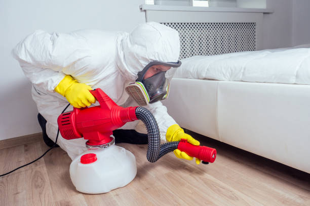 Best Pest Control Near Me in Swanton, OH