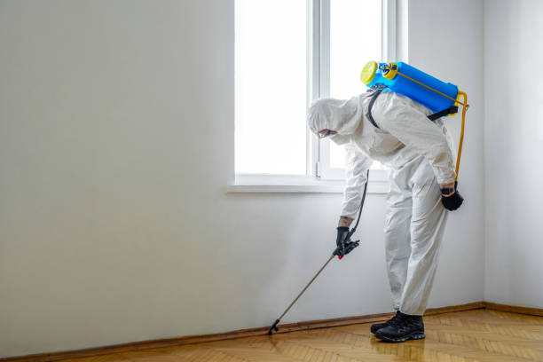 Best Mosquito Control Services  in Swanton, OH