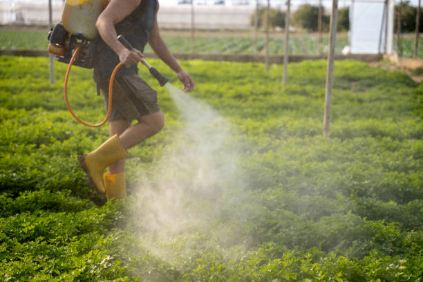 Best Pest Control Cost  in Swanton, OH