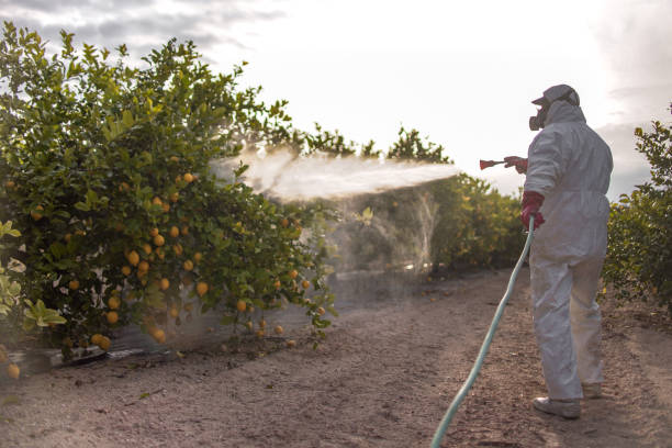 Best Residential Pest Control  in Swanton, OH