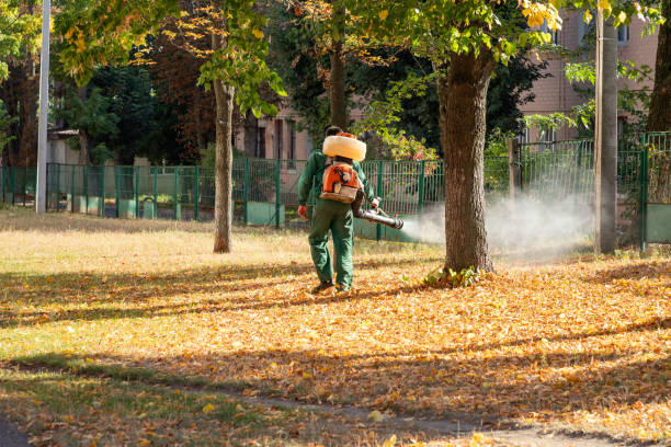 Best Wildlife Control Services  in Swanton, OH