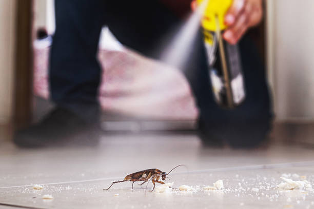Pest Prevention Services in Swanton, OH