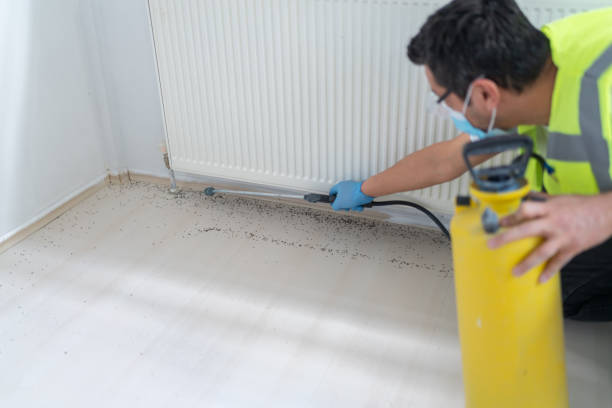 Professional Pest Control in Swanton, OH