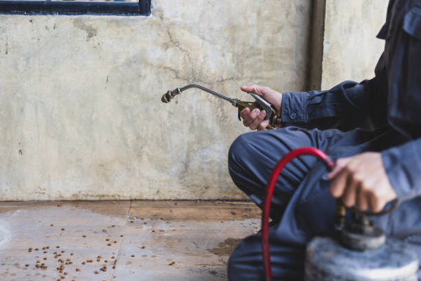 Best Pest Inspection Near Me  in Swanton, OH